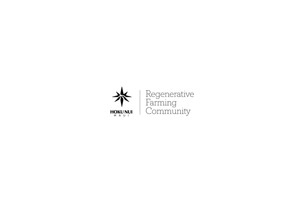 Hoku Nui Maui LogoType