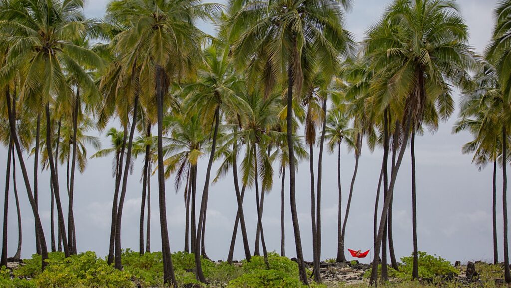 Clementine in Hawaii