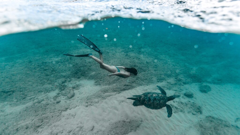Clementine in Hawaii