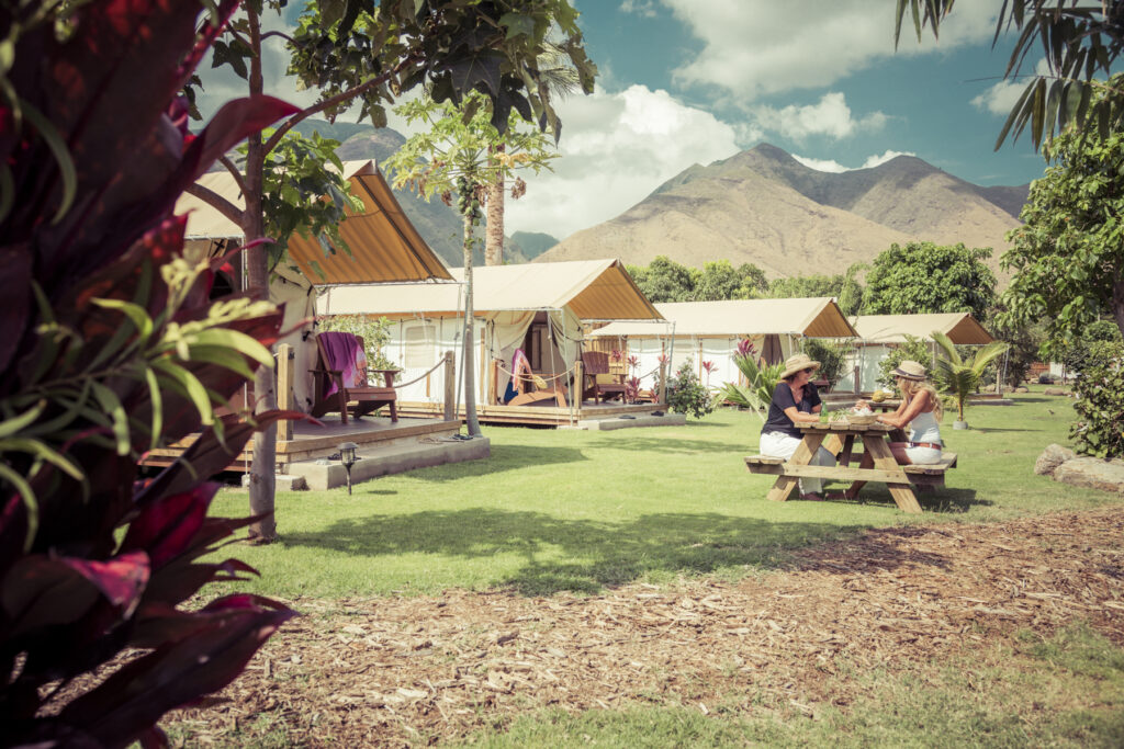 Hawaii Coffee Lab — 1