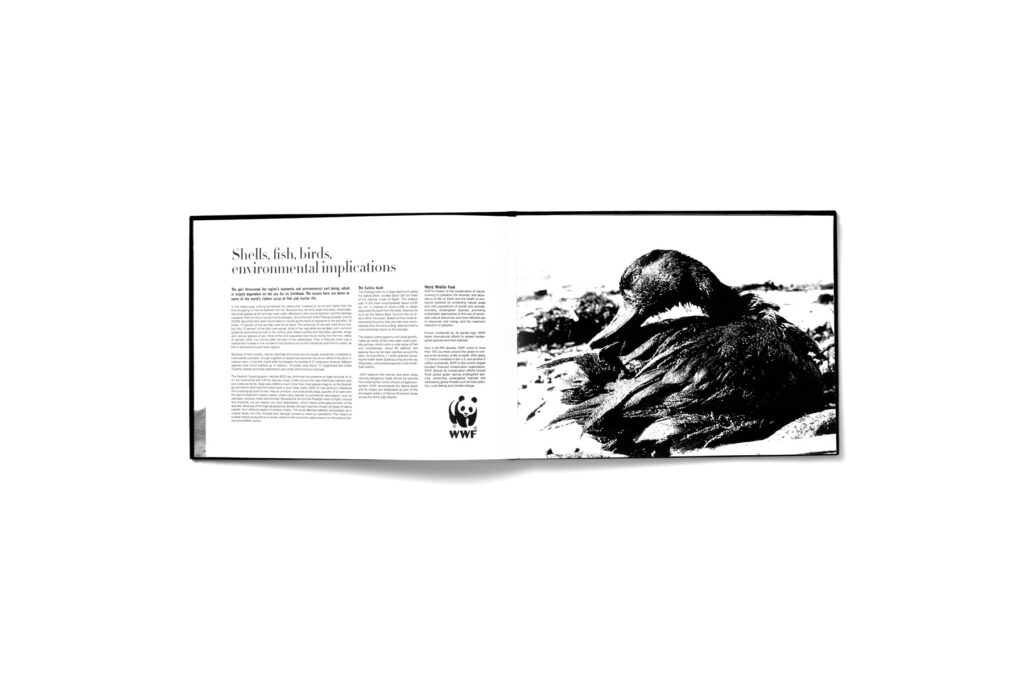 Project image 4